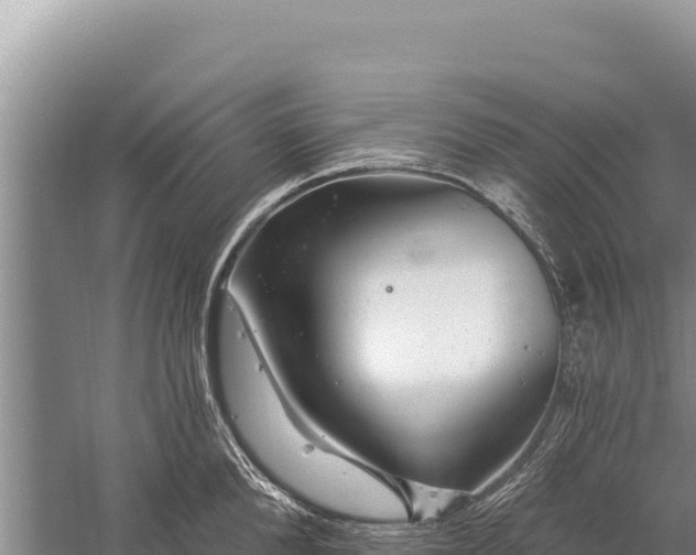 X0000059240904200510211559