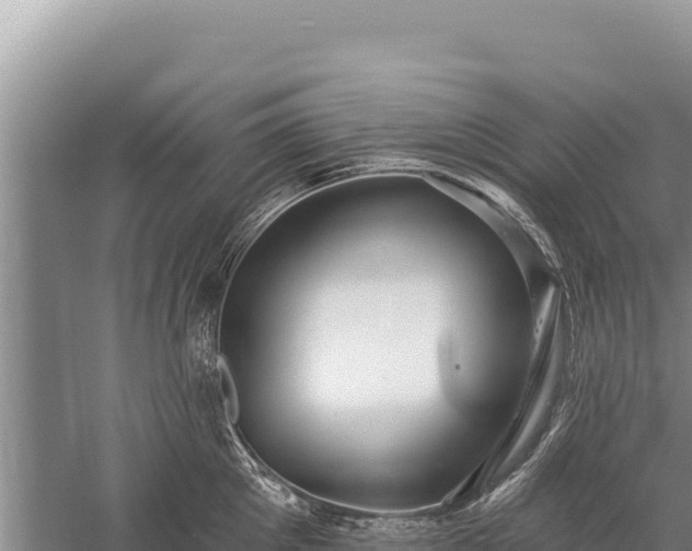 X0000059240905200510211559