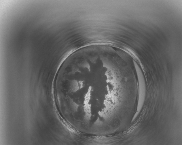 X0000059240907200510211559