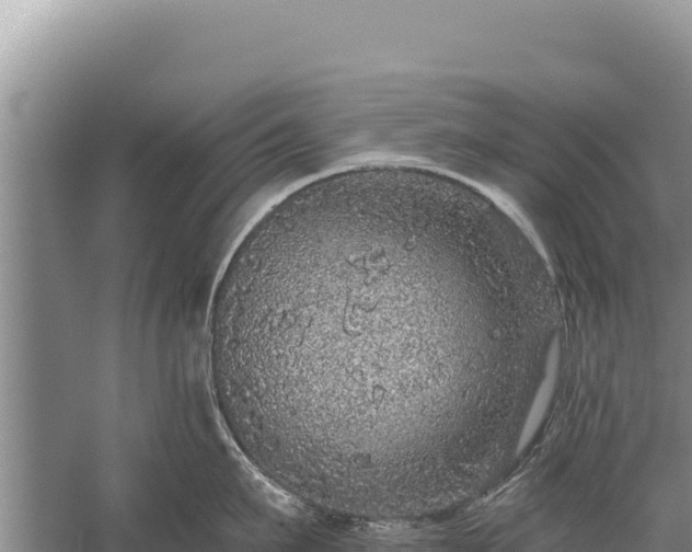 X0000059240911200510211559