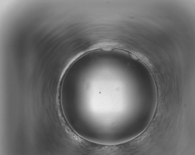 X0000059240912200510211559