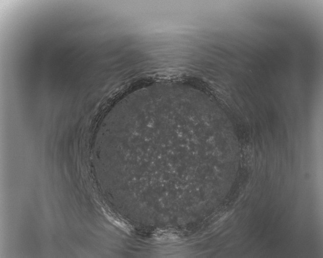 X0000059240913200510211558