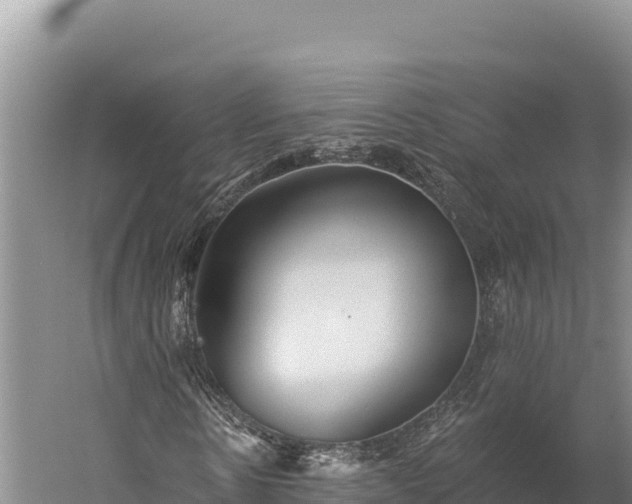 X0000059240914200510211558