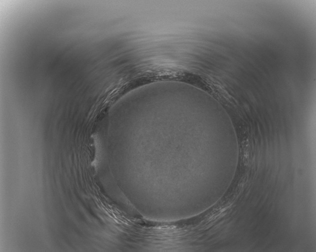 X0000059240916200510211558