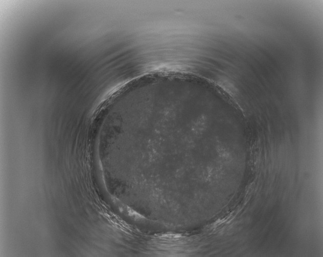 X0000059240919200510211558