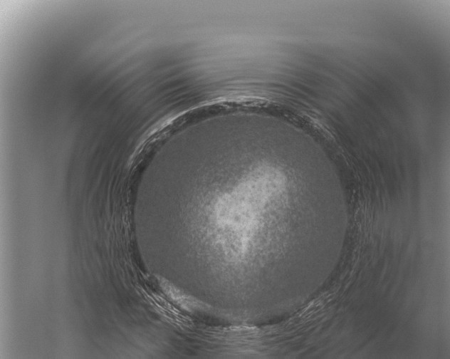 X0000059240920200510211558