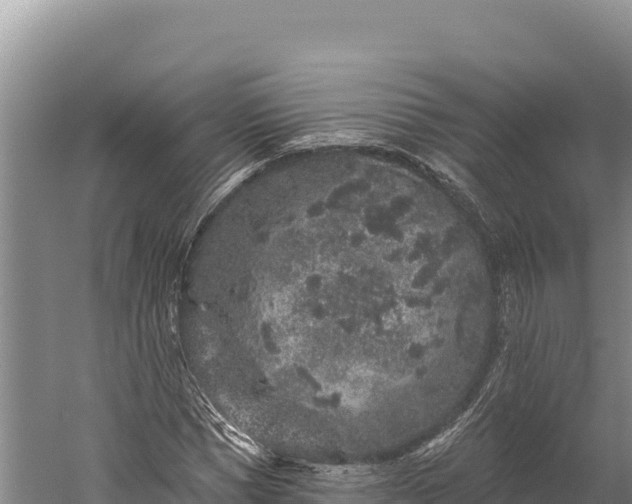 X0000059240921200510211558