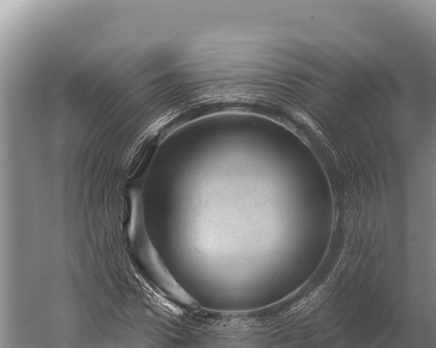 X0000059240922200510211558