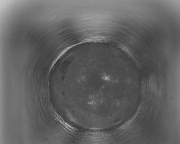 X0000059240923200510211558