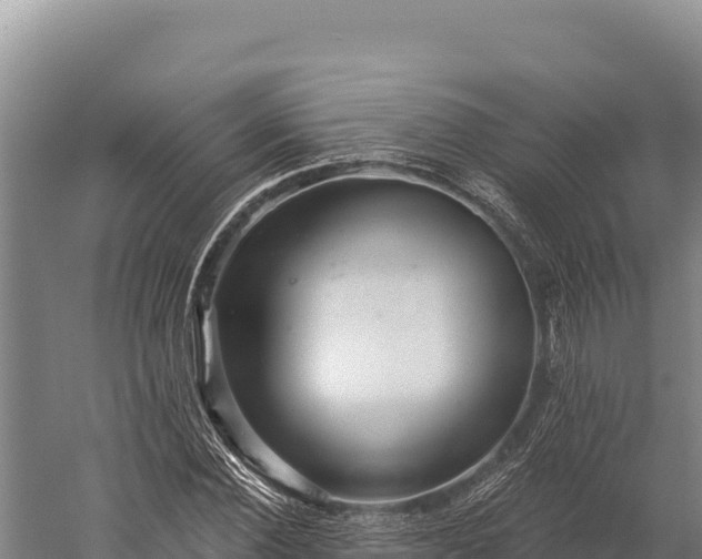 X0000059240924200510211558