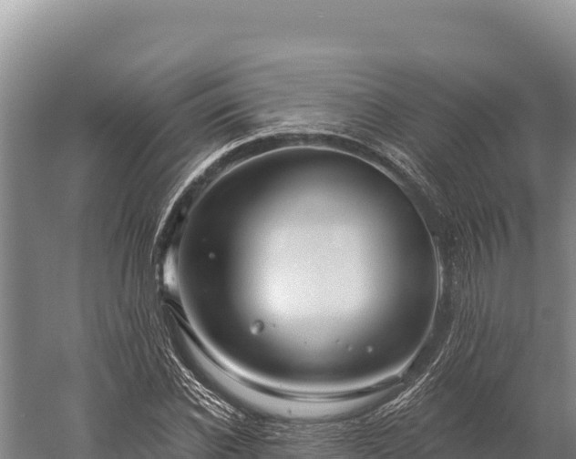 X0000059240926200510211558