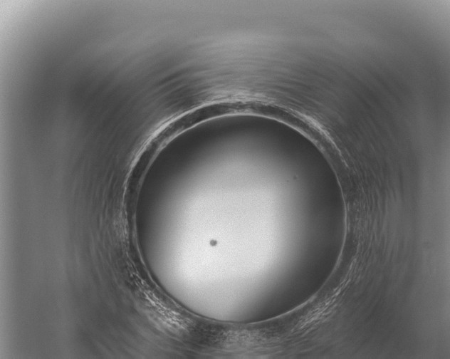 X0000059240927200510211558