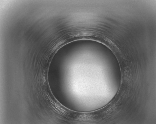 X0000059240929200510211558