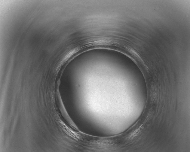 X0000059240930200510211558