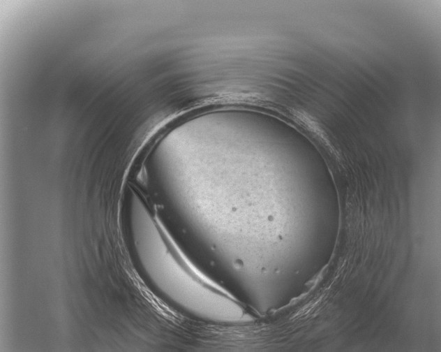 X0000059240932200510211558