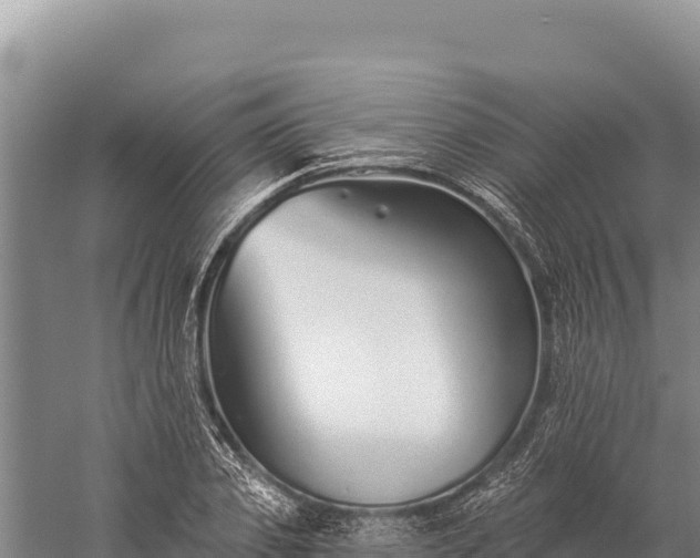 X0000059240933200510211558