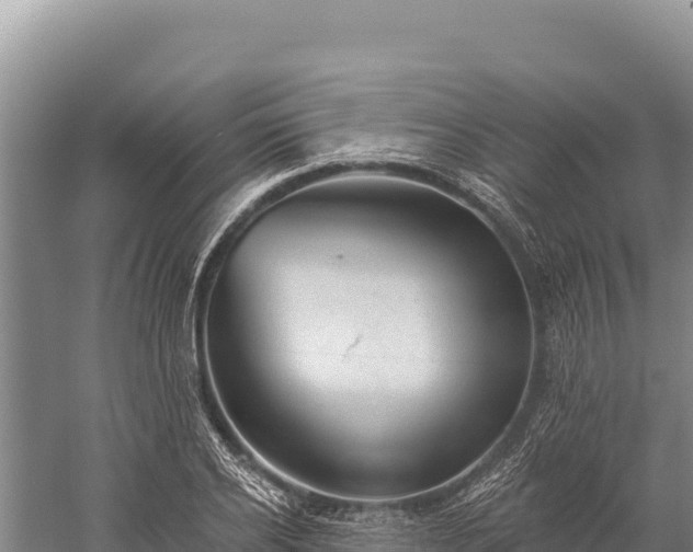 X0000059240934200510211558