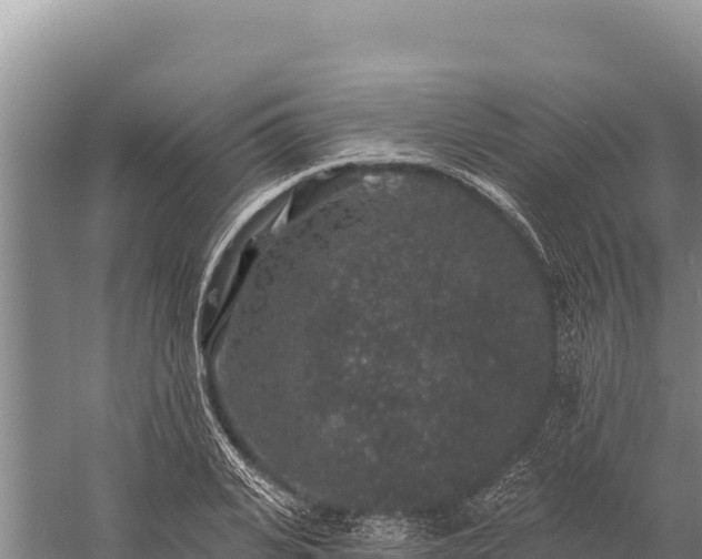 X0000059240935200510211558