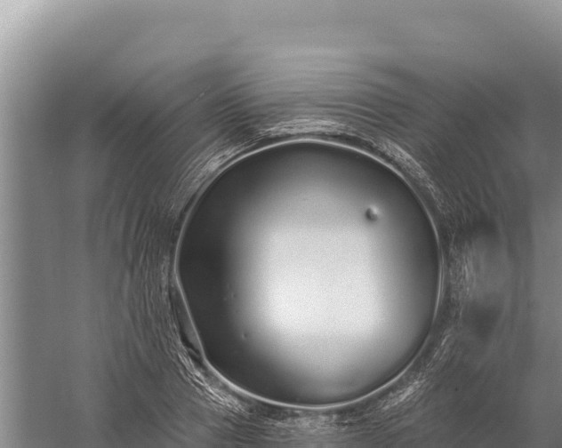 X0000059240937200510211558