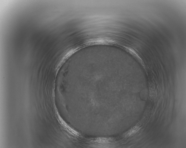 X0000059240938200510211558