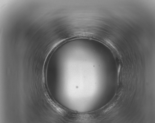 X0000059240940200510211558