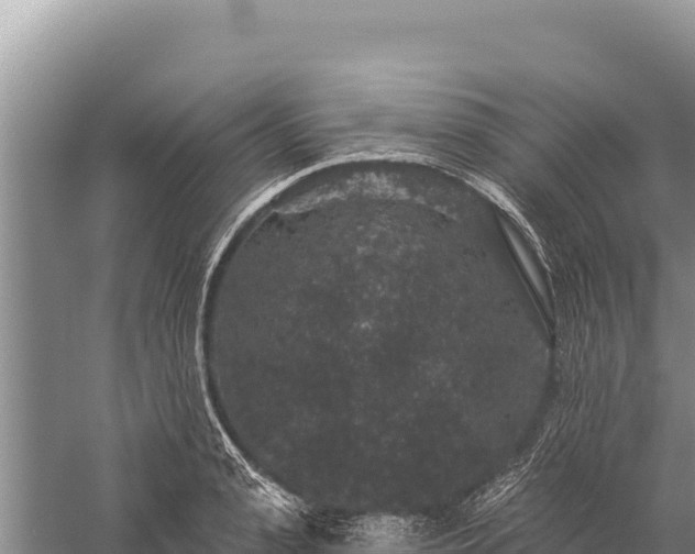 X0000059240943200510211558