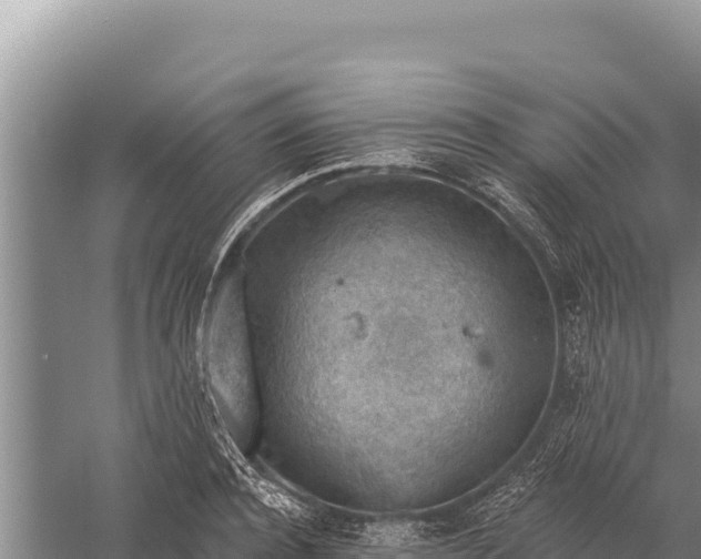 X0000059240944200510211558