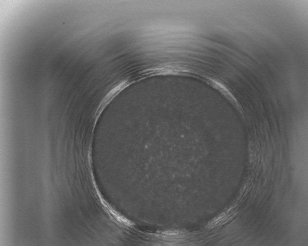 X0000059240946200510211558