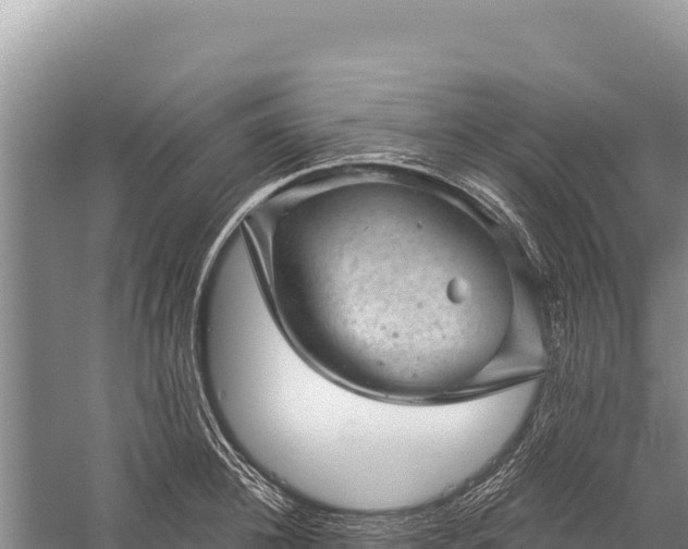 X0000059240948200510211559