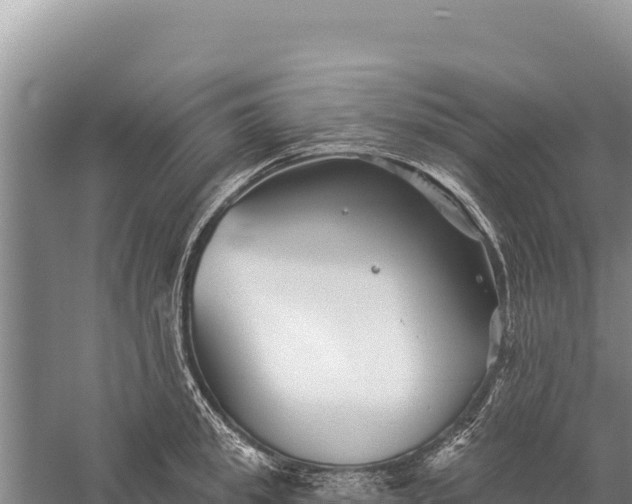 X0000059240949200510211559