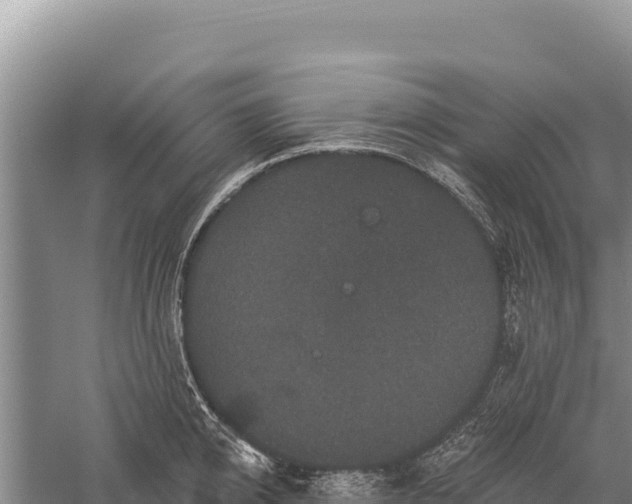 X0000059240950200510211559