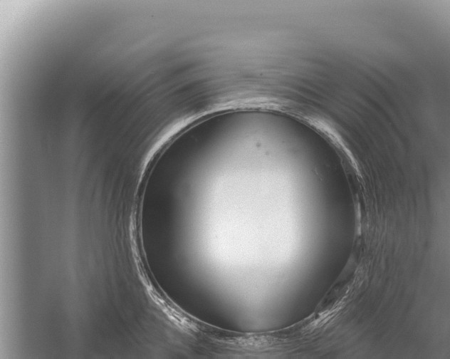 X0000059240952200510211559