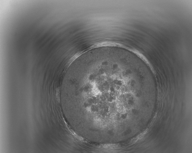 X0000059240953200510211559