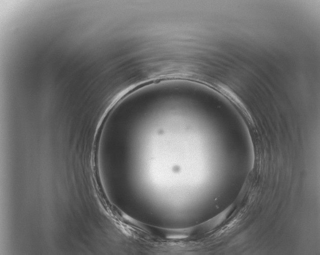 X0000059240956200510211559