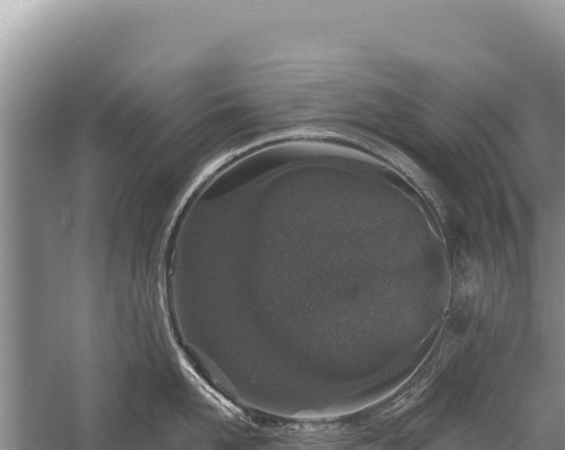 X0000059240958200510211559