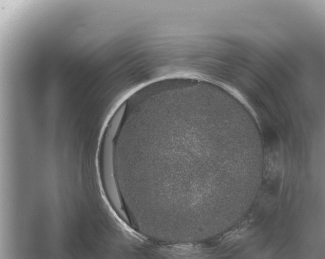 X0000059240959200510211559