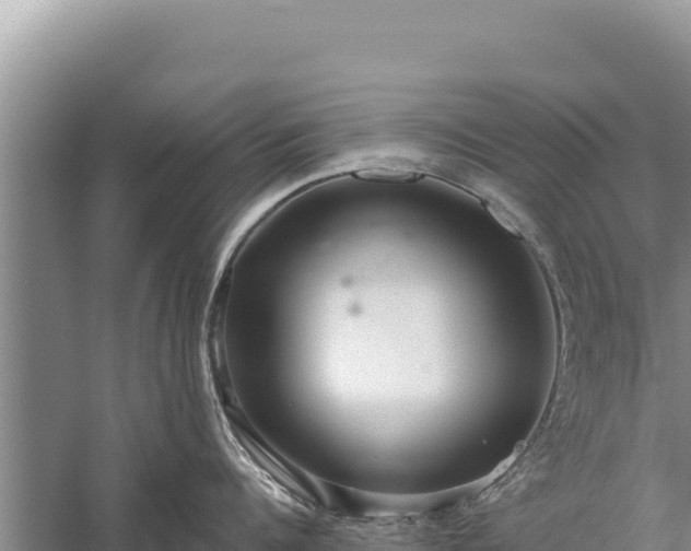 X0000059240960200510211559