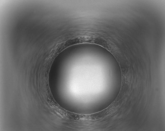 X0000059240961200510211558