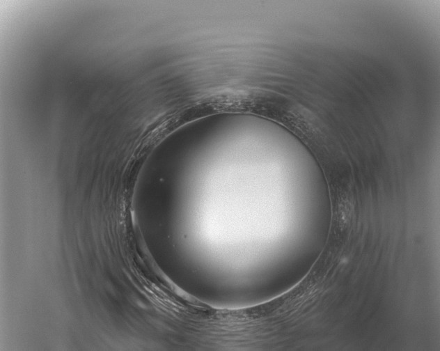 X0000059240964200510211558