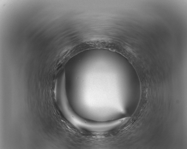 X0000059240965200510211558