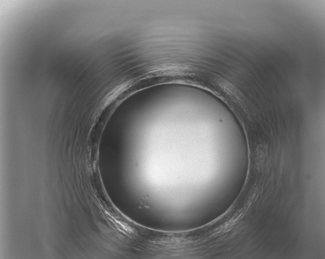 X0000059240970200510211558