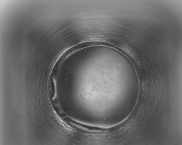 X0000059240972200510211558