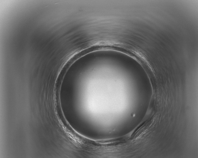 X0000059240976200510211558