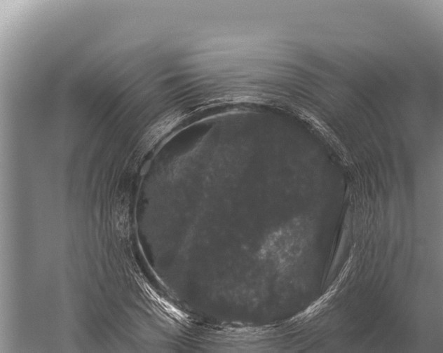 X0000059240977200510211558