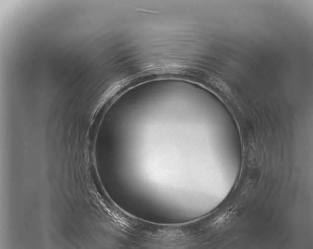 X0000059240978200510211558