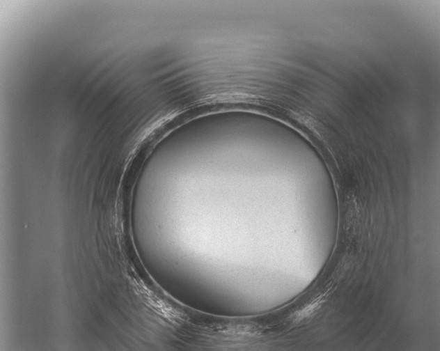 X0000059240979200510211558