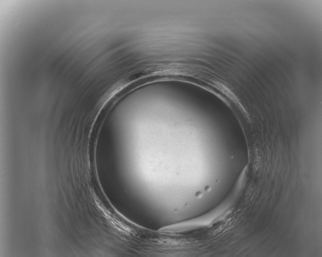 X0000059240980200510211558