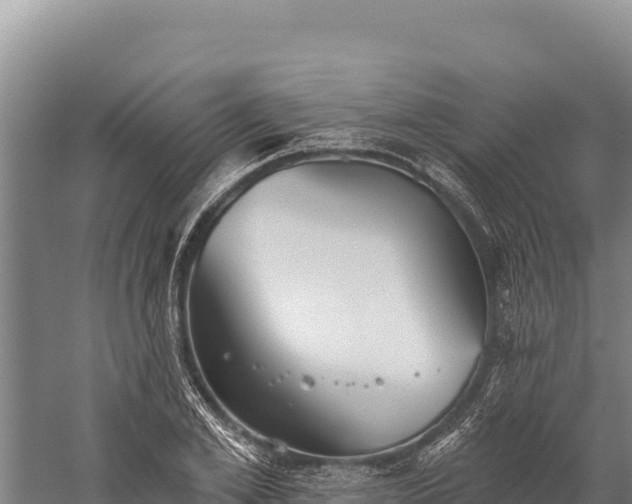 X0000059240981200510211558