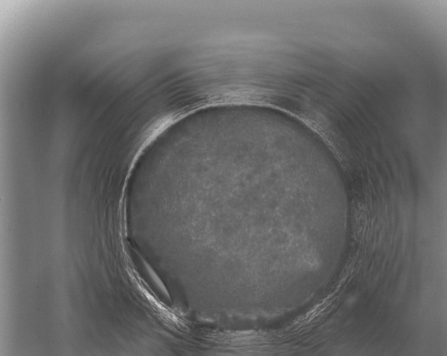 X0000059240982200510211558