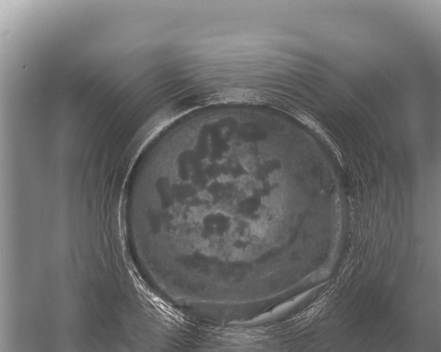 X0000059240983200510211558